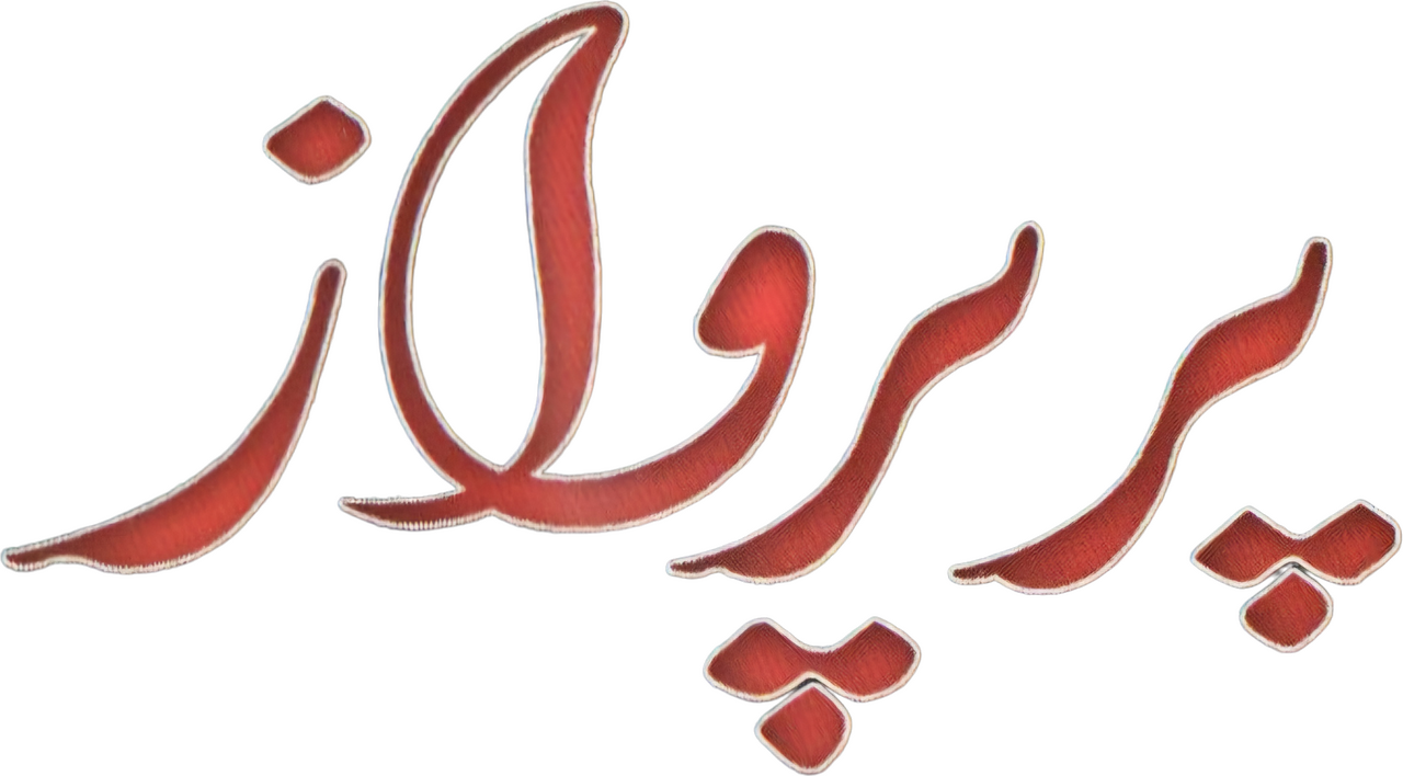 enlarged Logo 0
