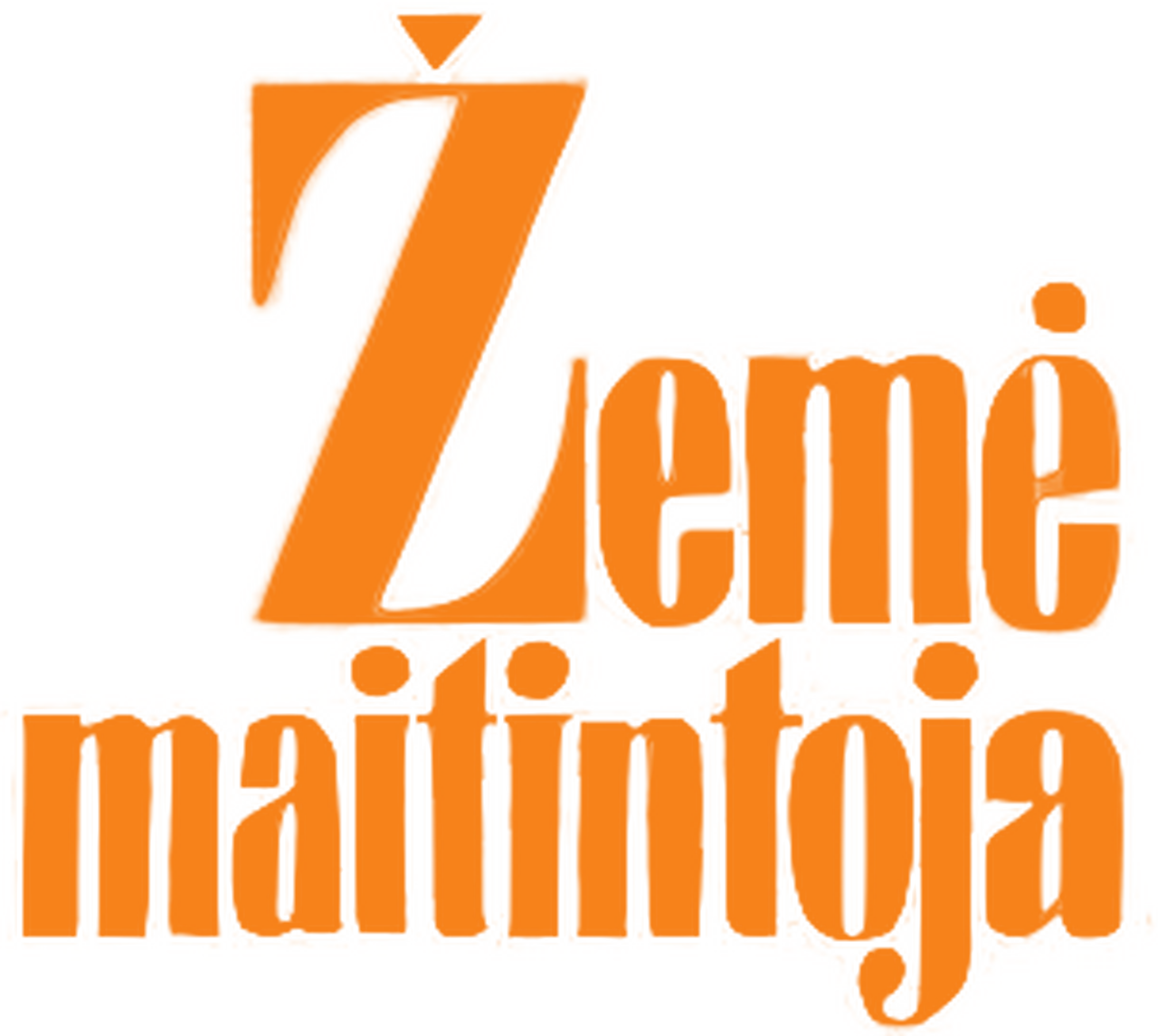 enlarged Logo 0