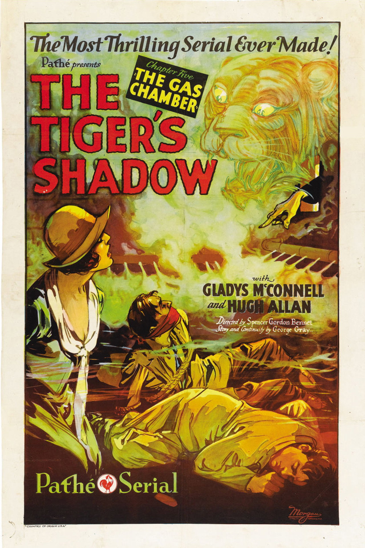 The Tiger's Shadow