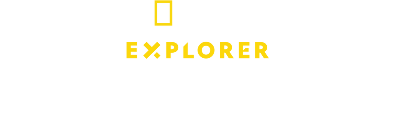 enlarged Logo 0