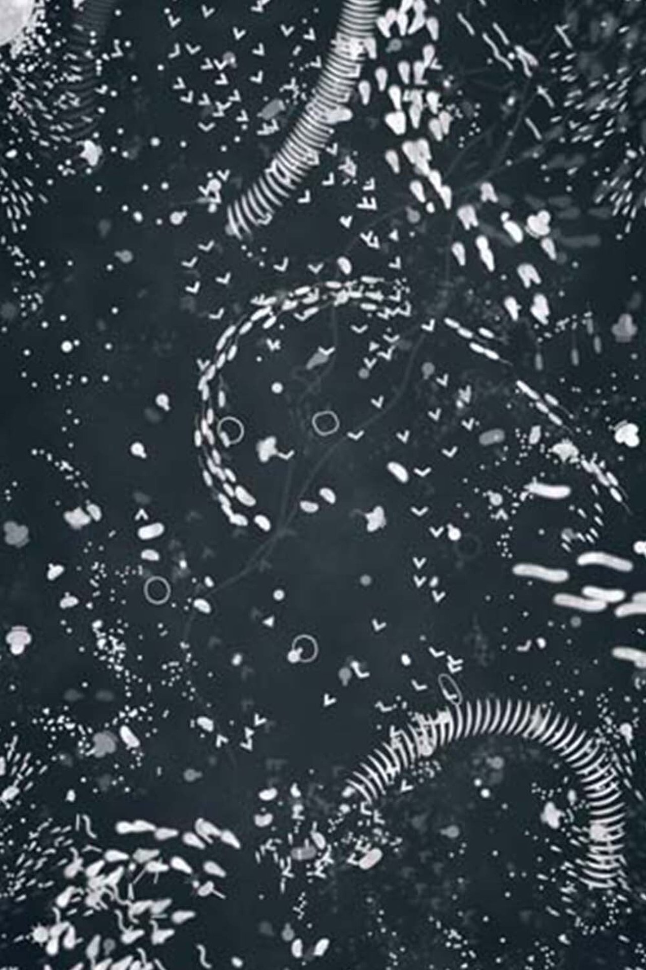 enlarged Poster 0