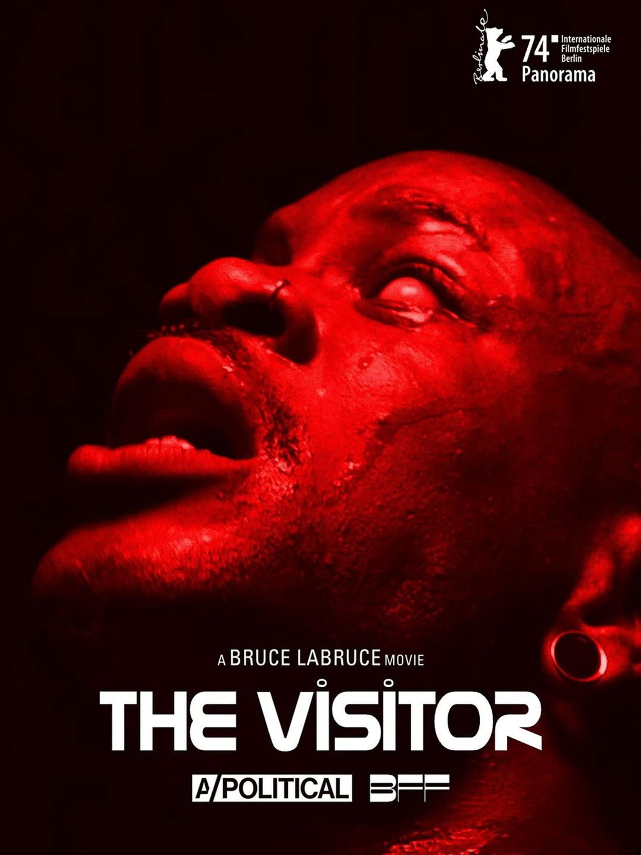 The Visitor
