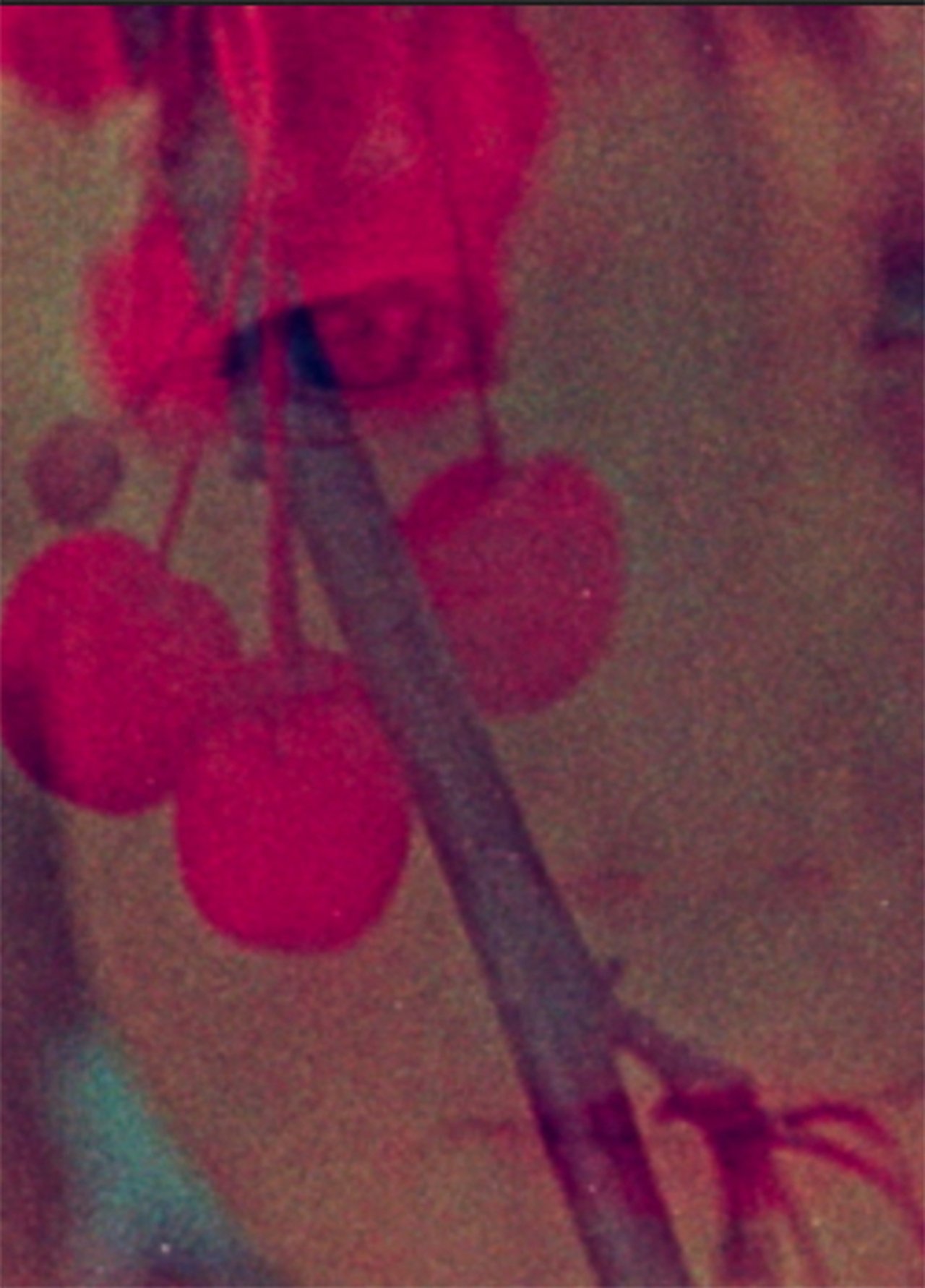 enlarged Poster 0