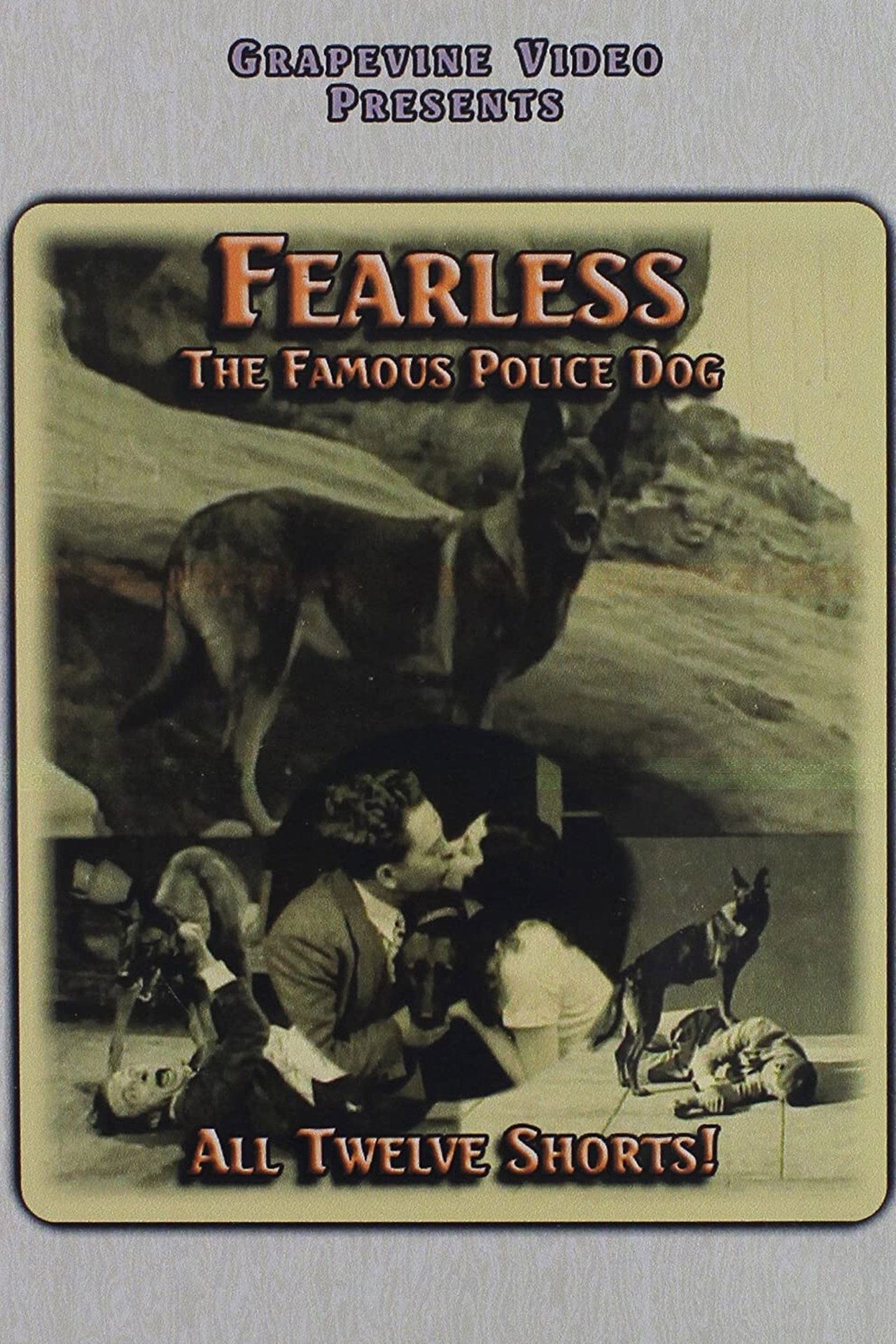 enlarged Poster 0