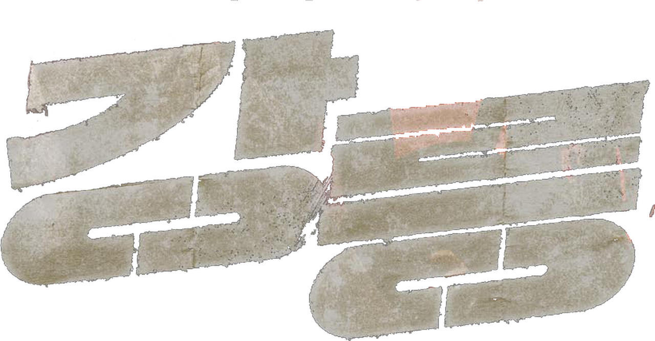 enlarged Logo 0