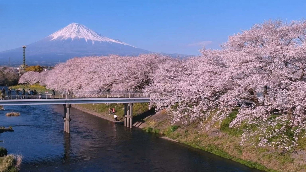 Spring