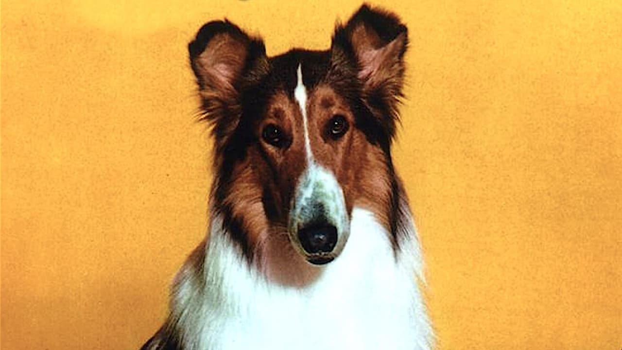 Lassie TV Collection Backdrop