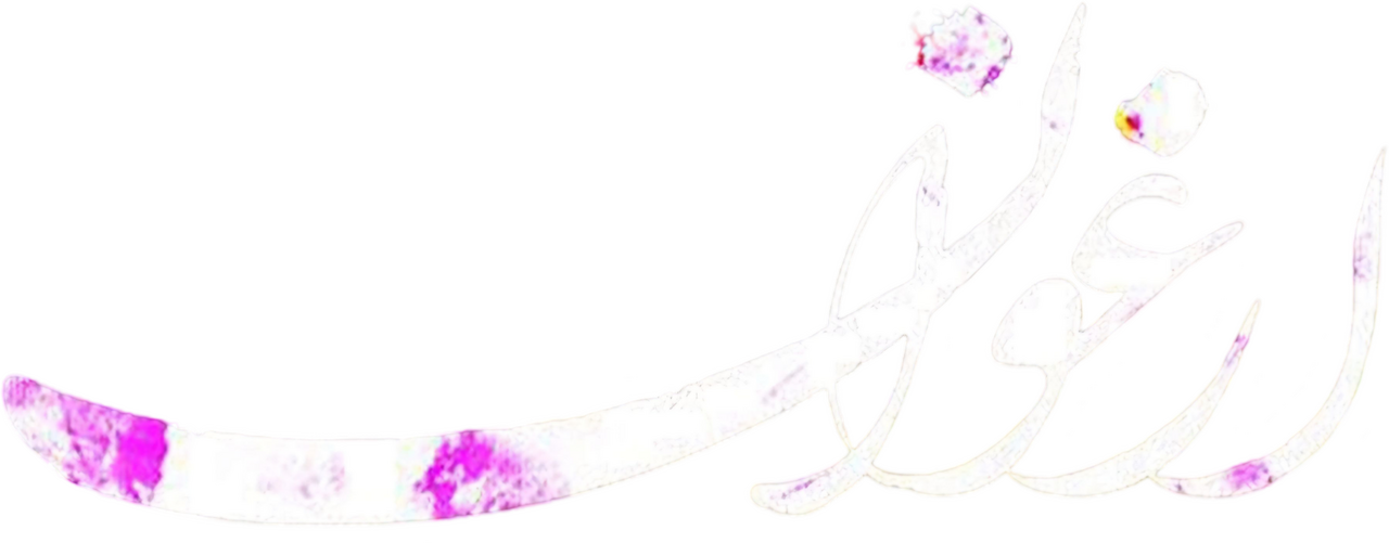 enlarged Logo 0