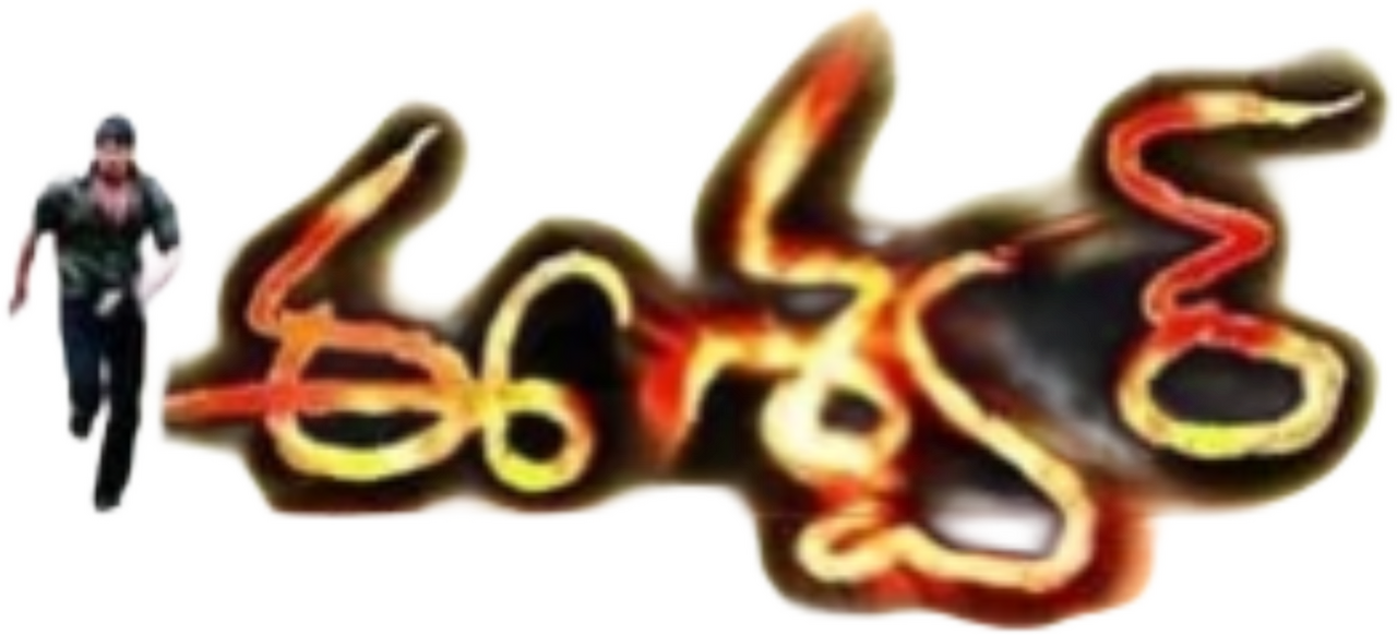 enlarged Logo 0