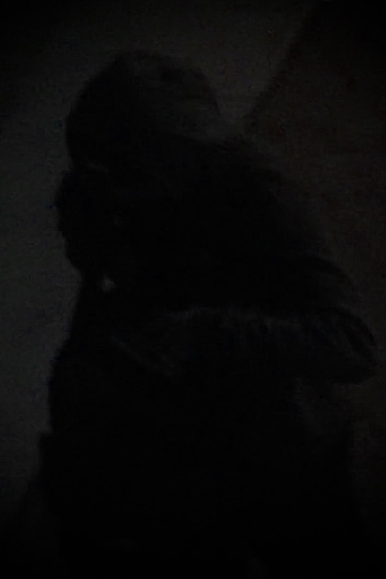 enlarged Poster 0