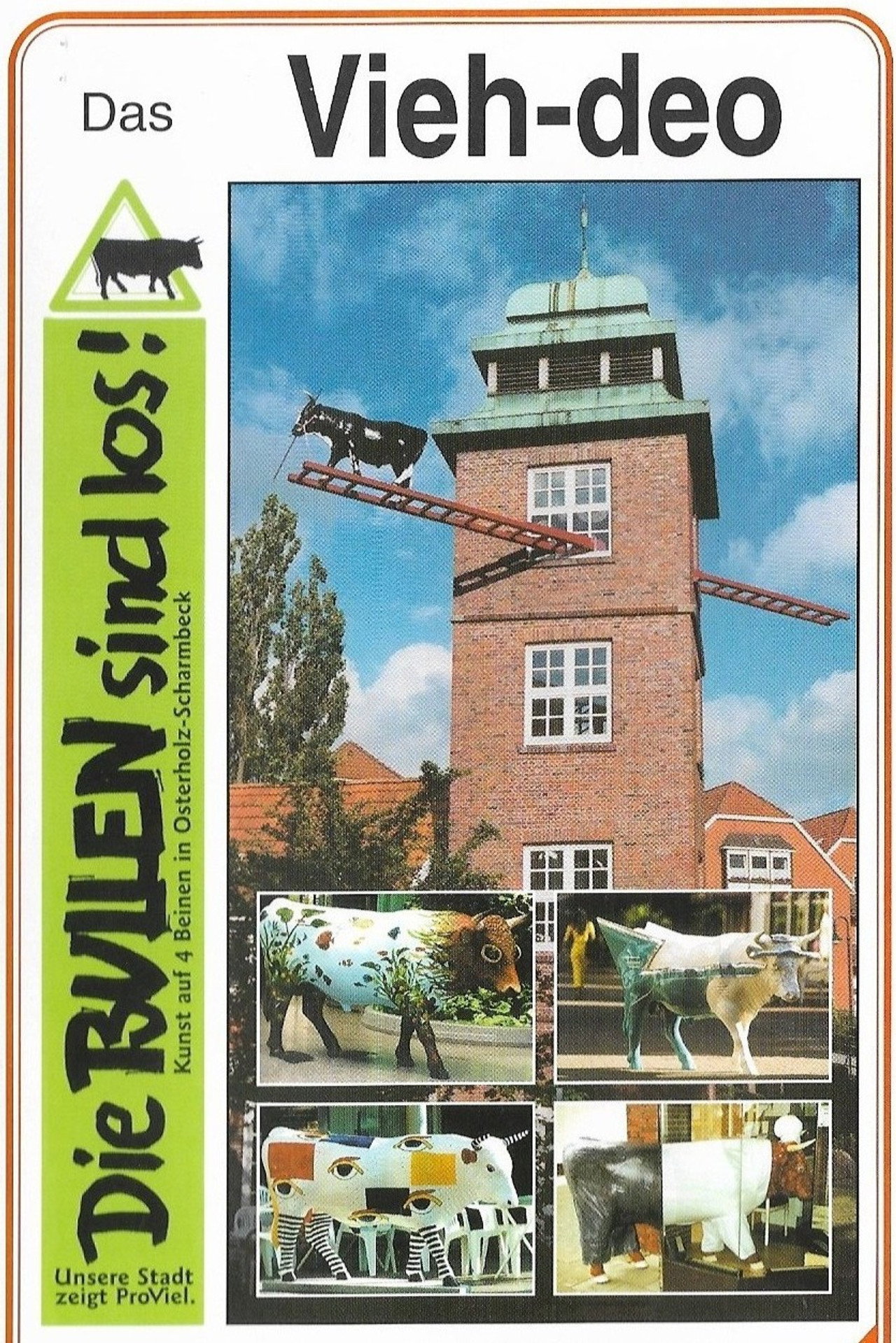 Das Bullen Vieh-deo