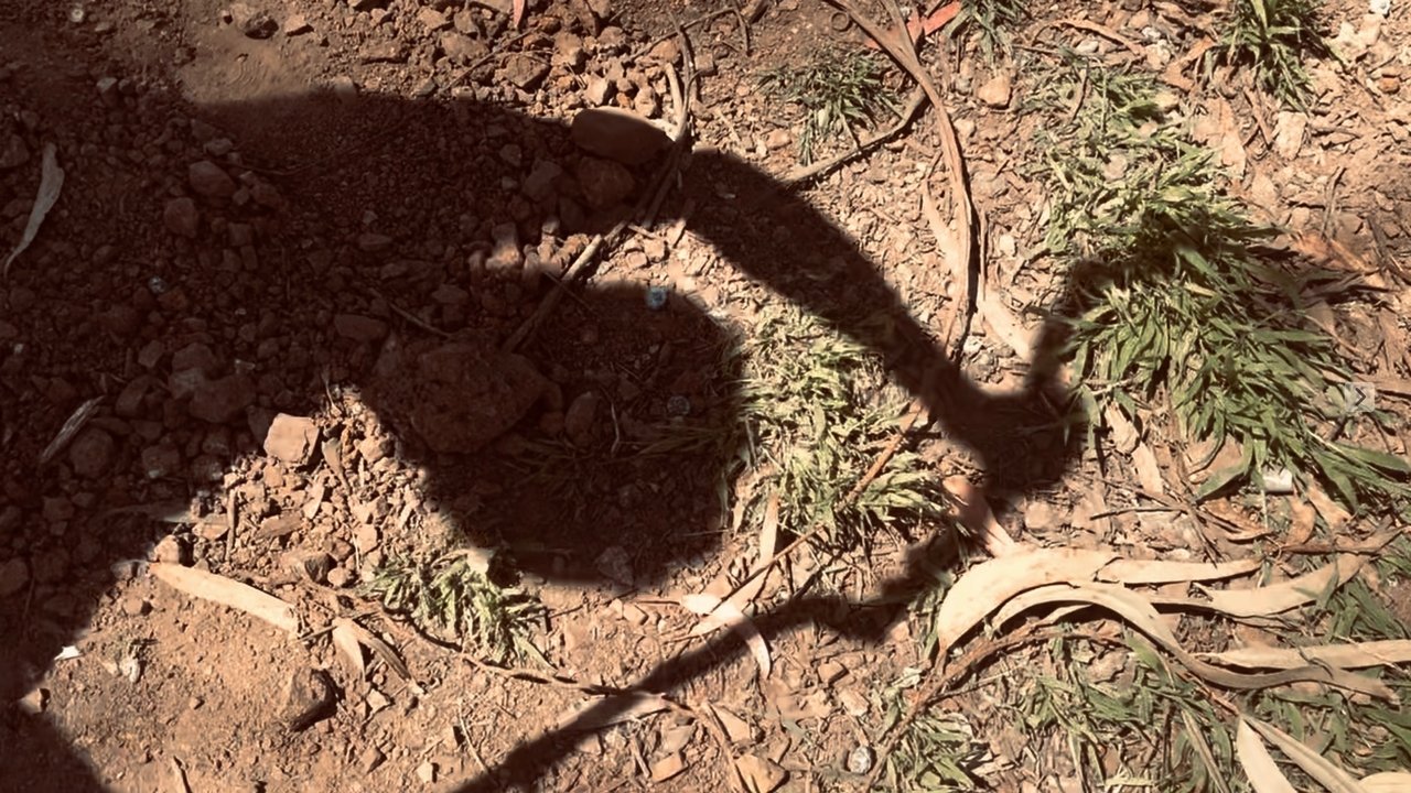 backdrop The Monster