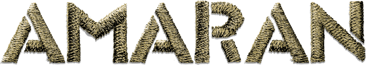 enlarged Logo 0