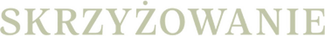 enlarged Logo 0