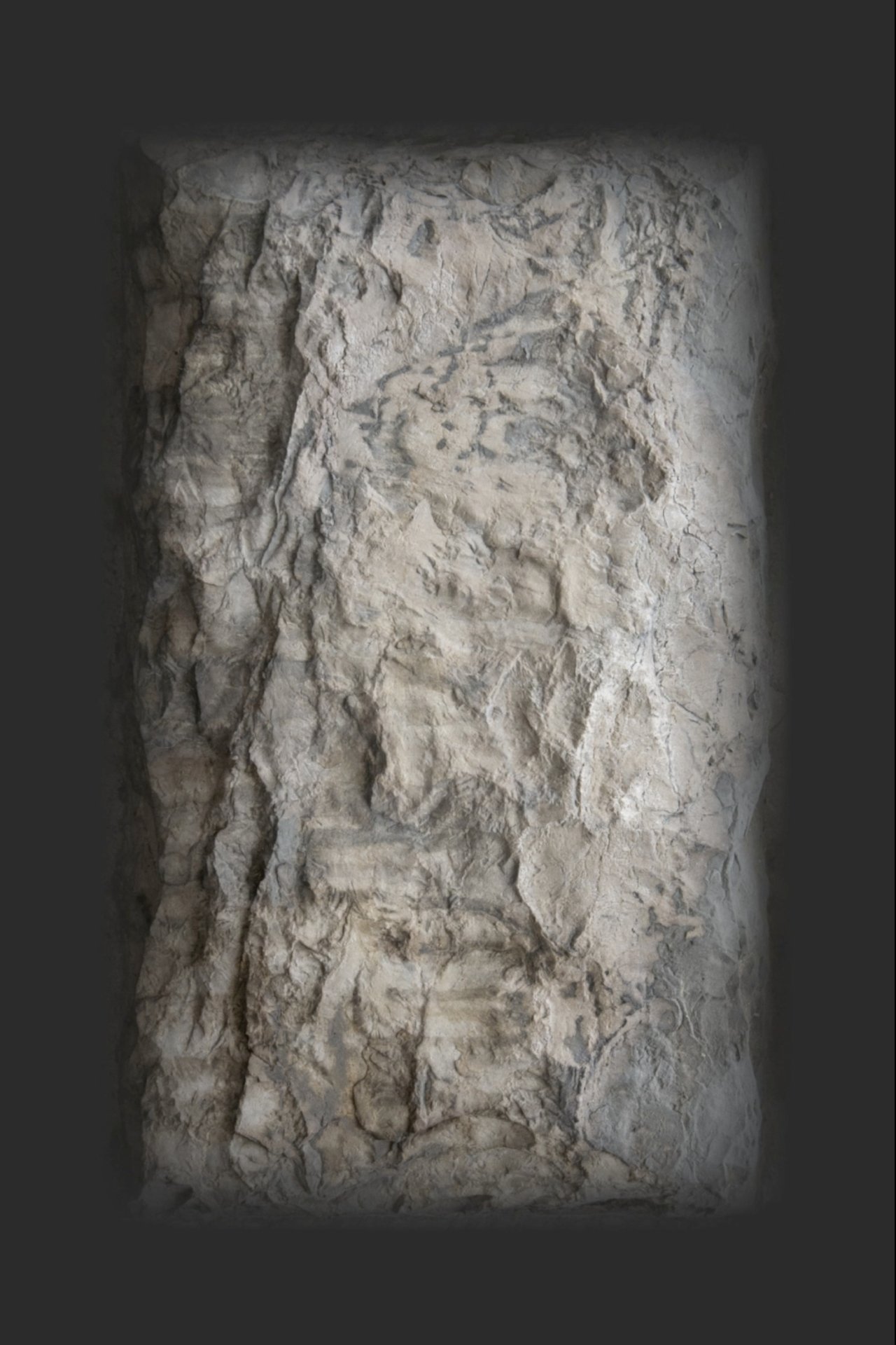 enlarged Poster 0