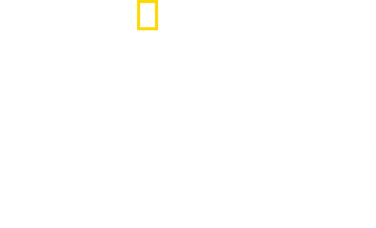 enlarged Logo 0