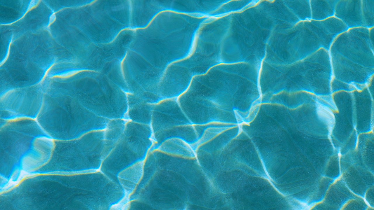 backdrop Soy Boricua