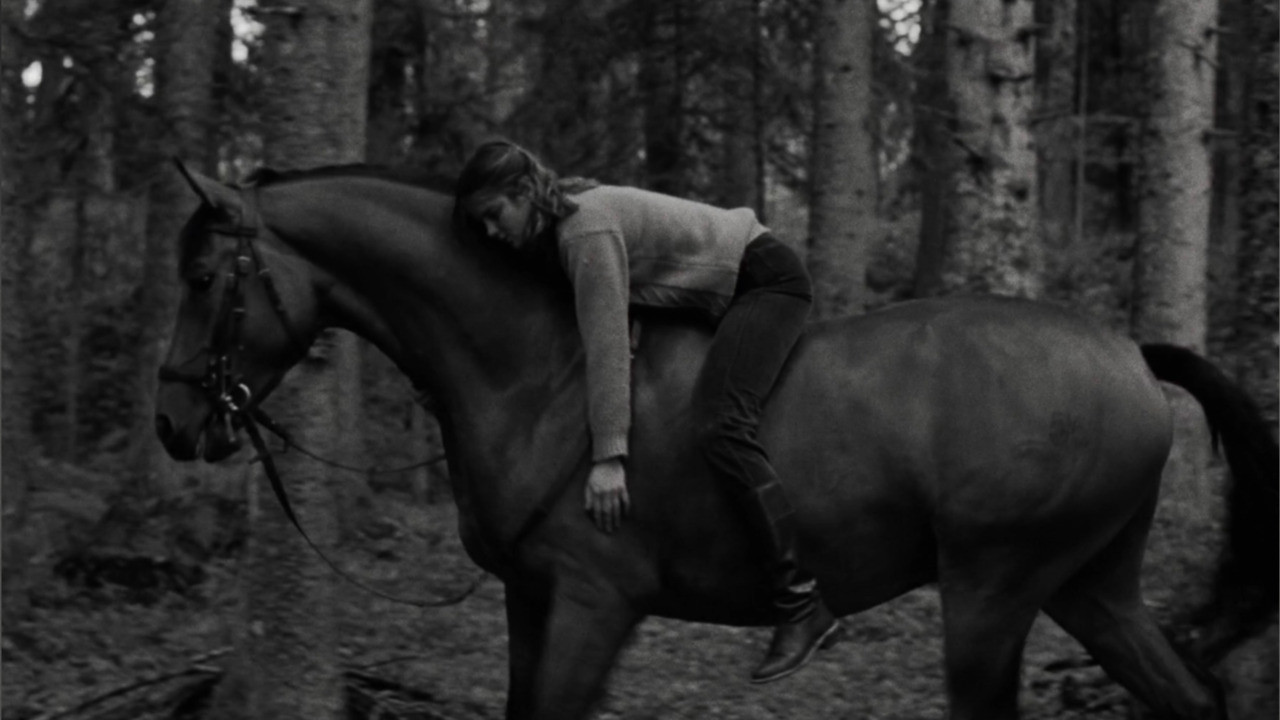 backdrop The Unburdening