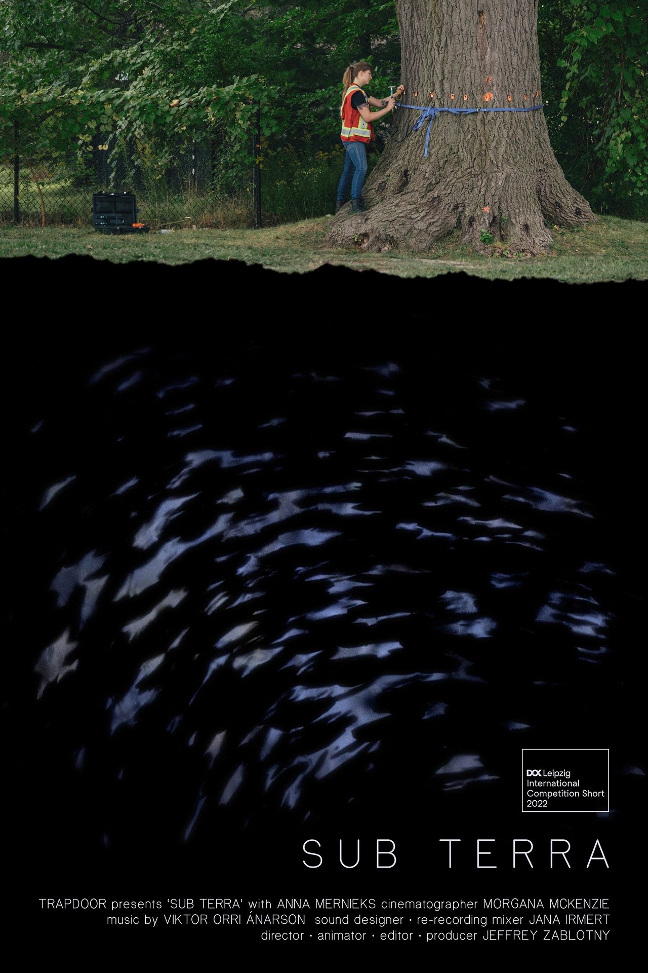 enlarged Poster 0