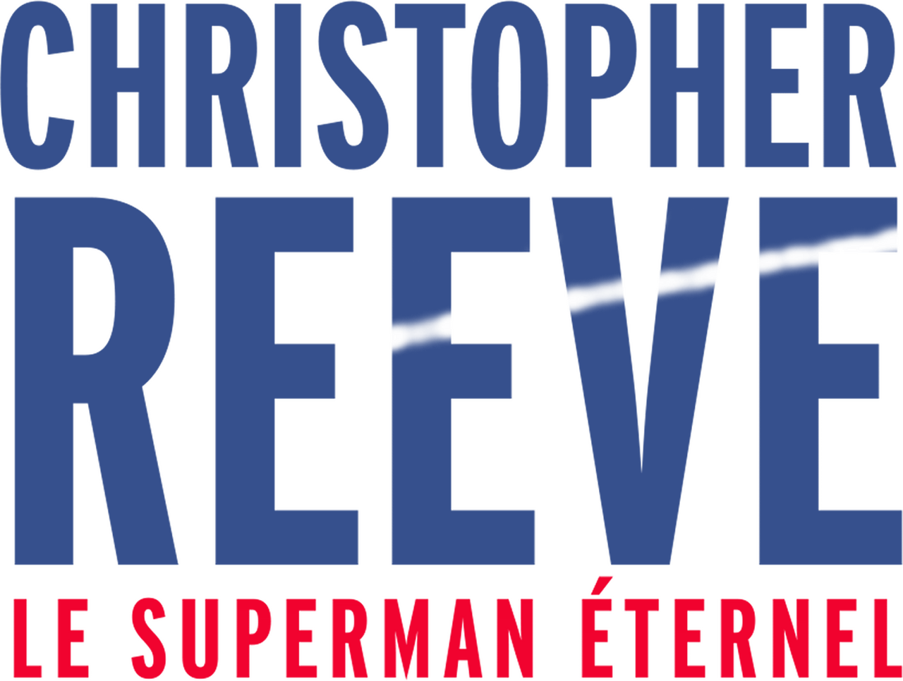 enlarged Logo 0