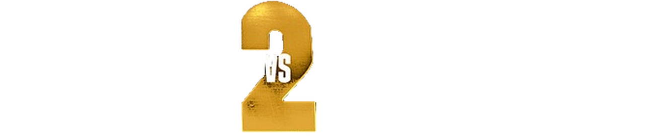 enlarged Logo 0