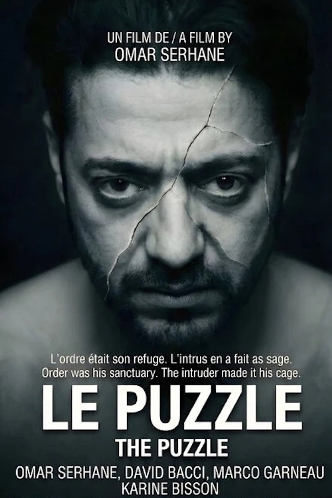 The Puzzle