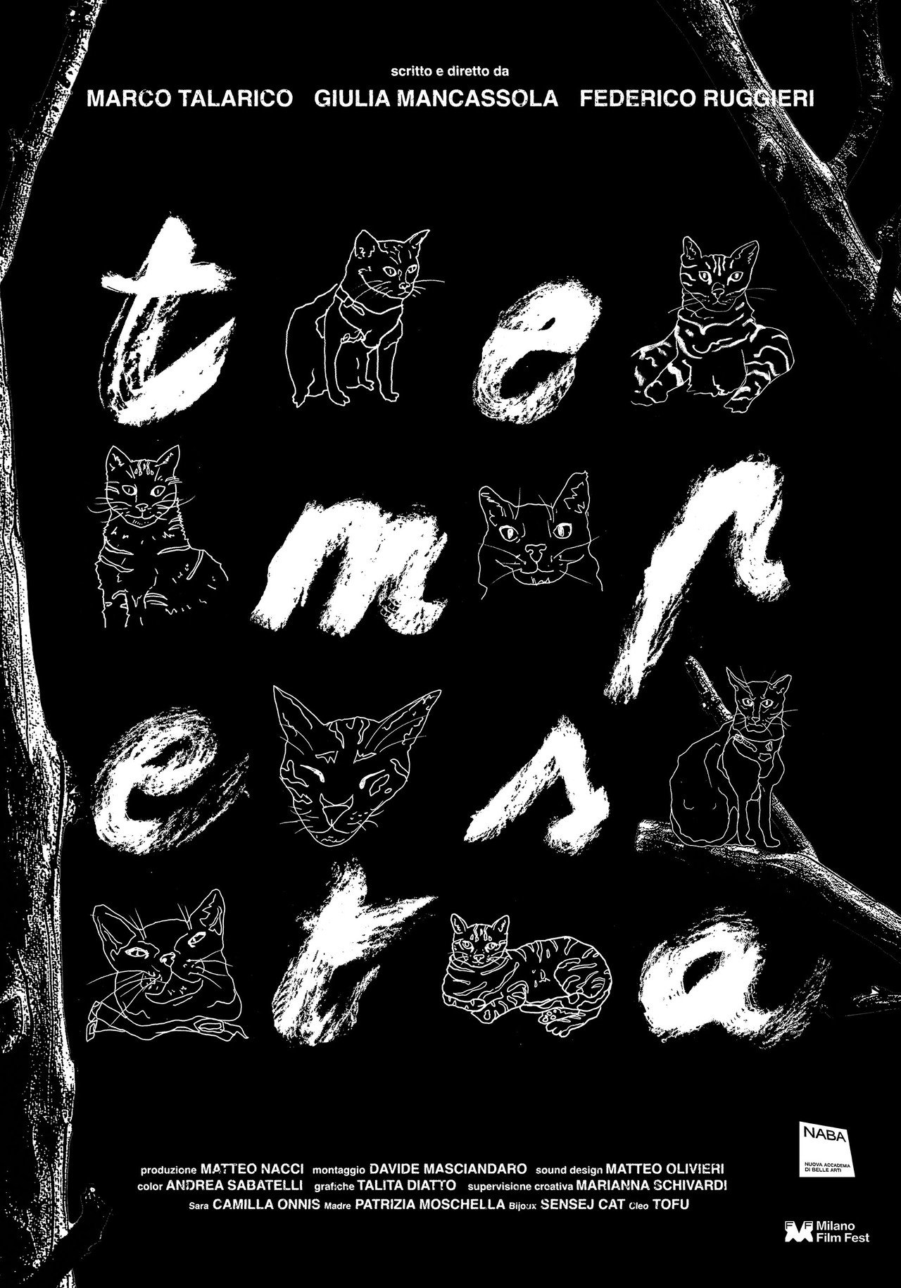 TEMPESTA