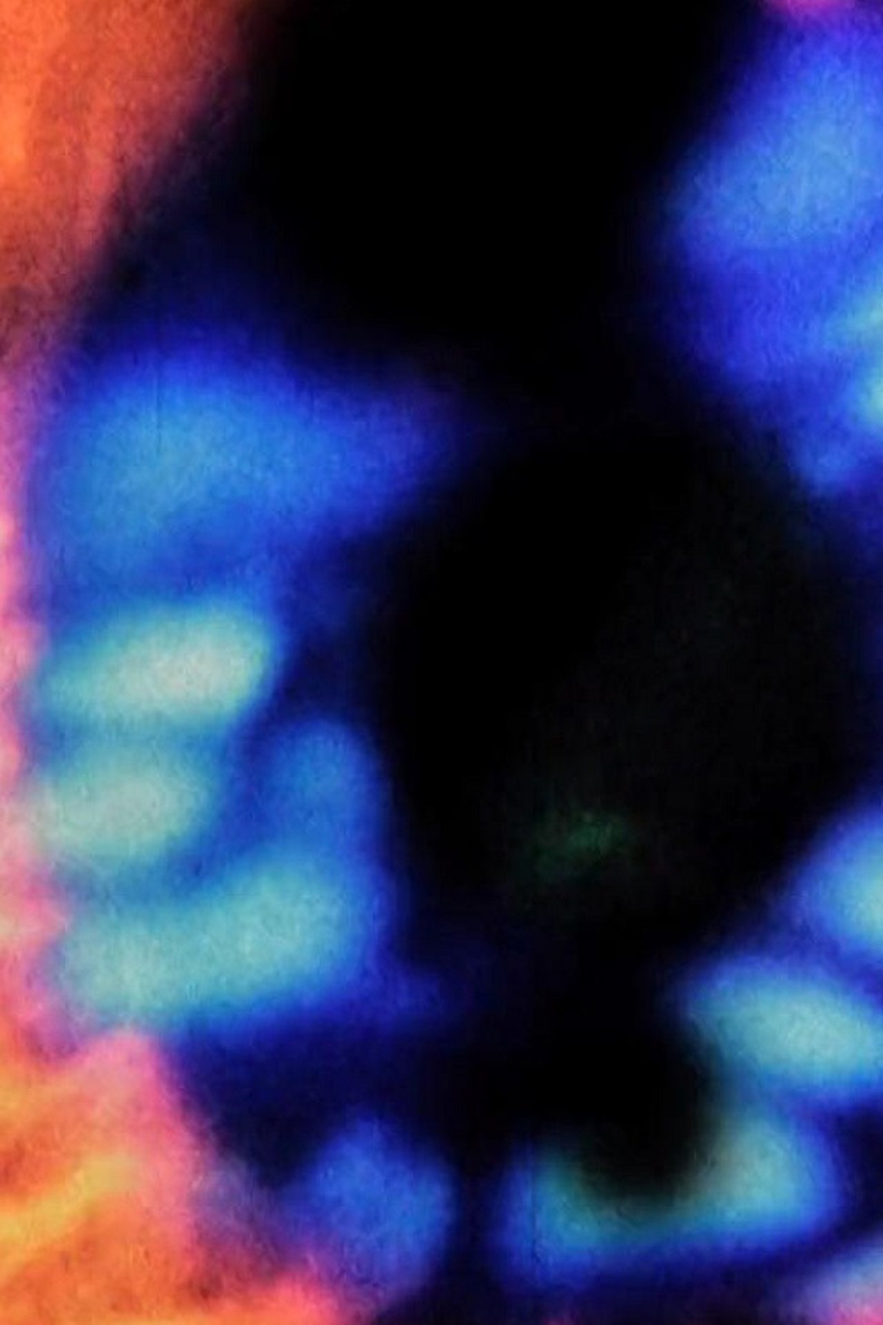 enlarged Poster 0