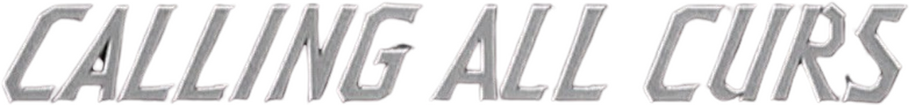 enlarged Logo 0