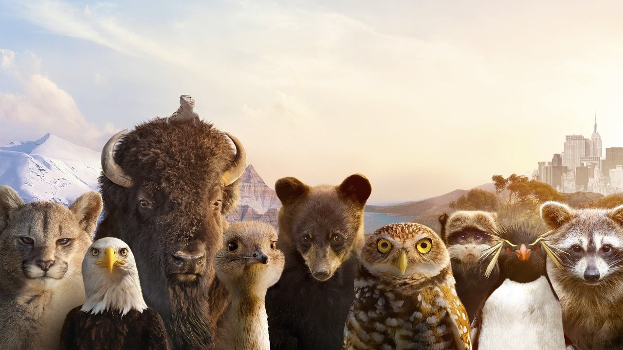 movie backdrop