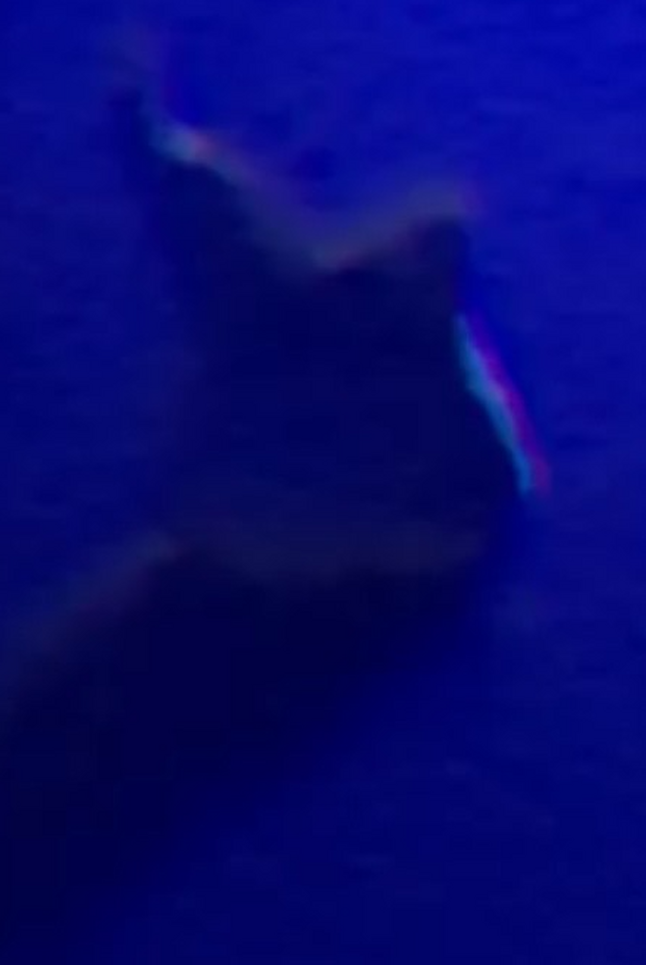 enlarged Logo 0