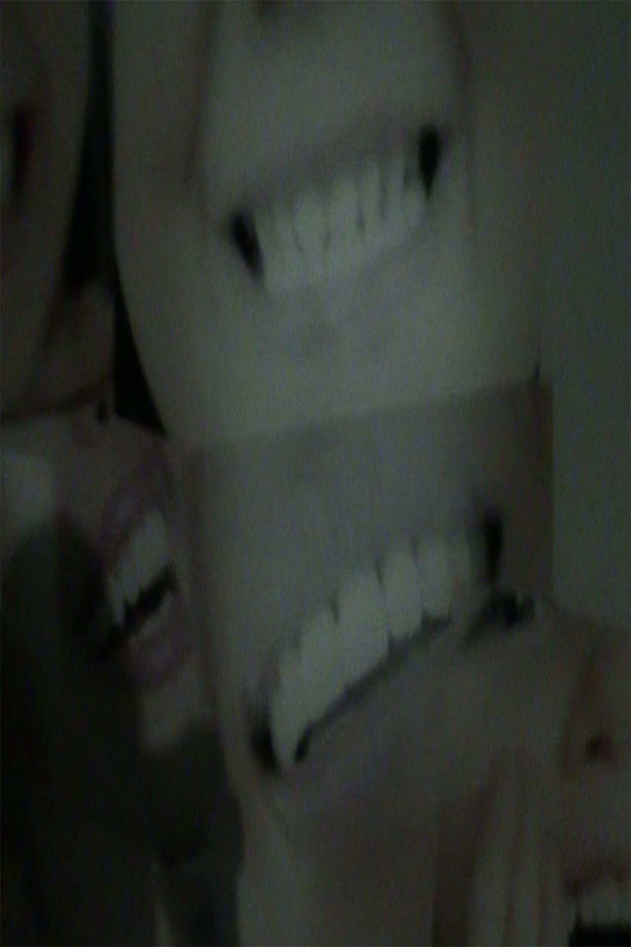 enlarged Poster 0
