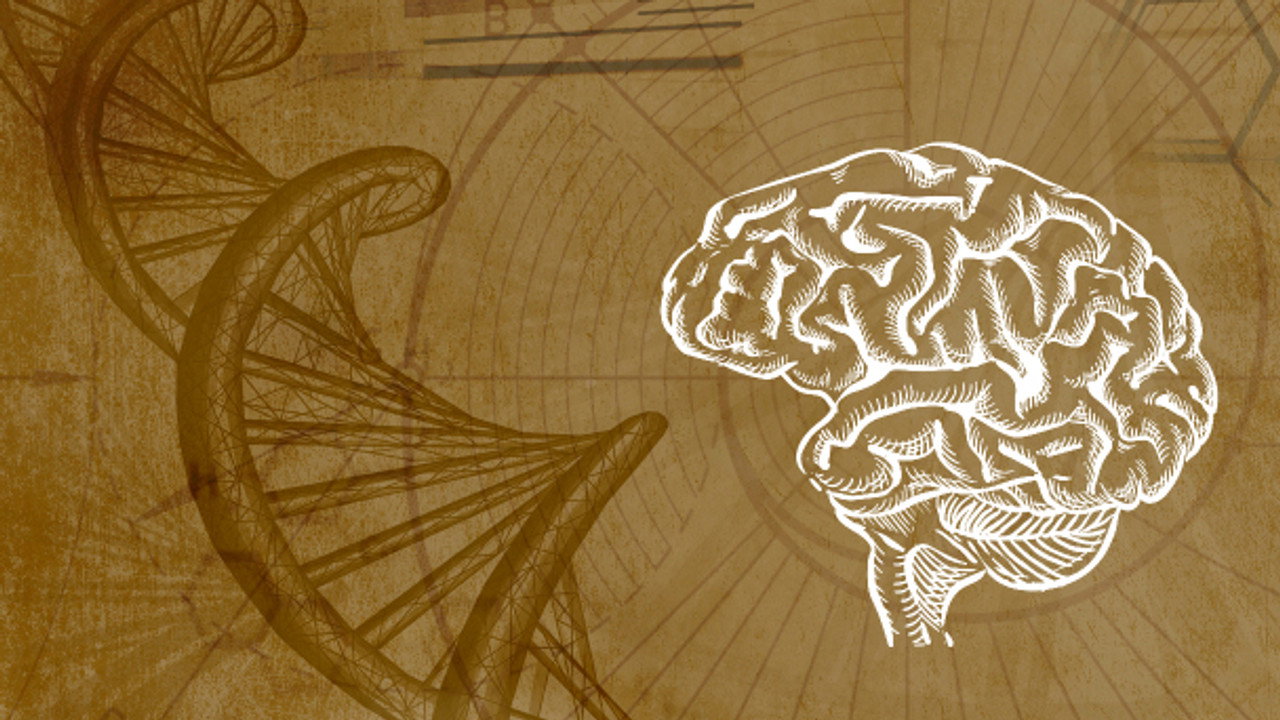 Subconscious Programming