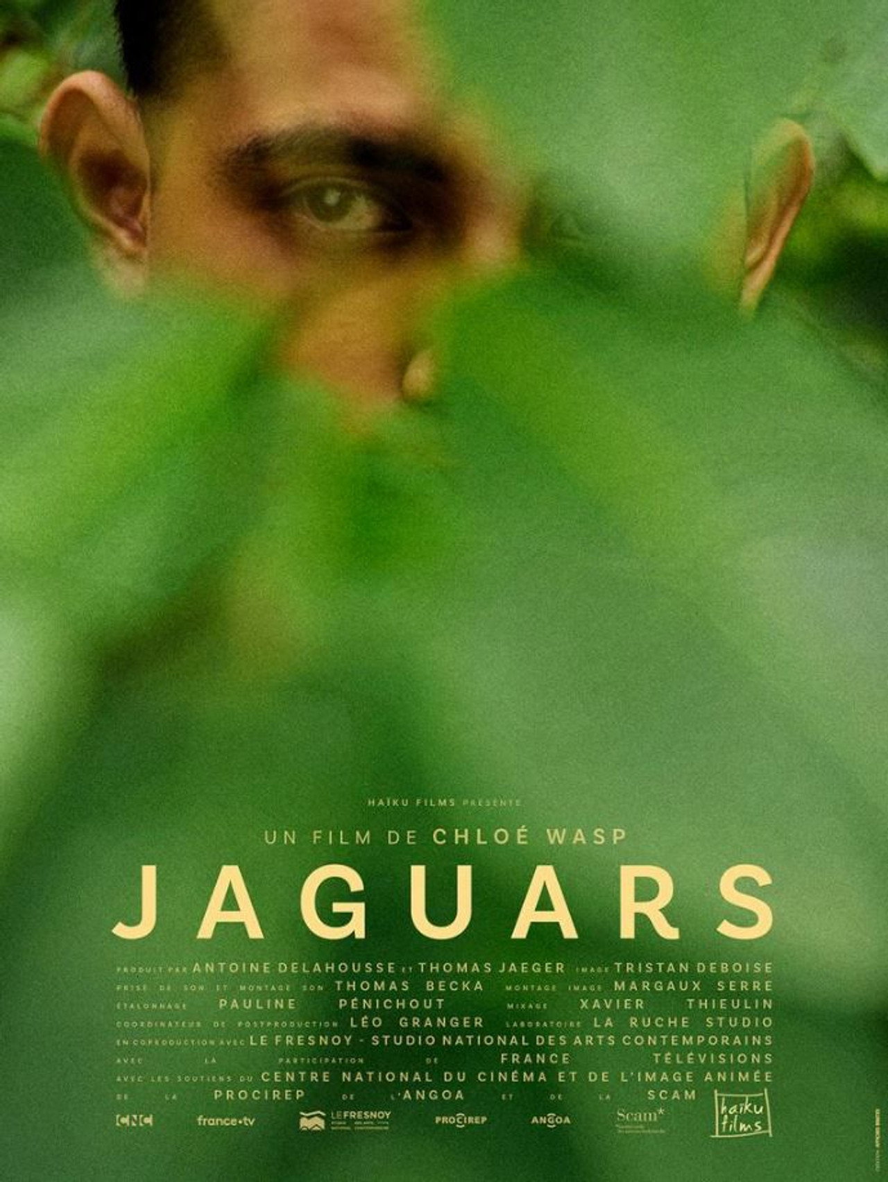 Jaguars