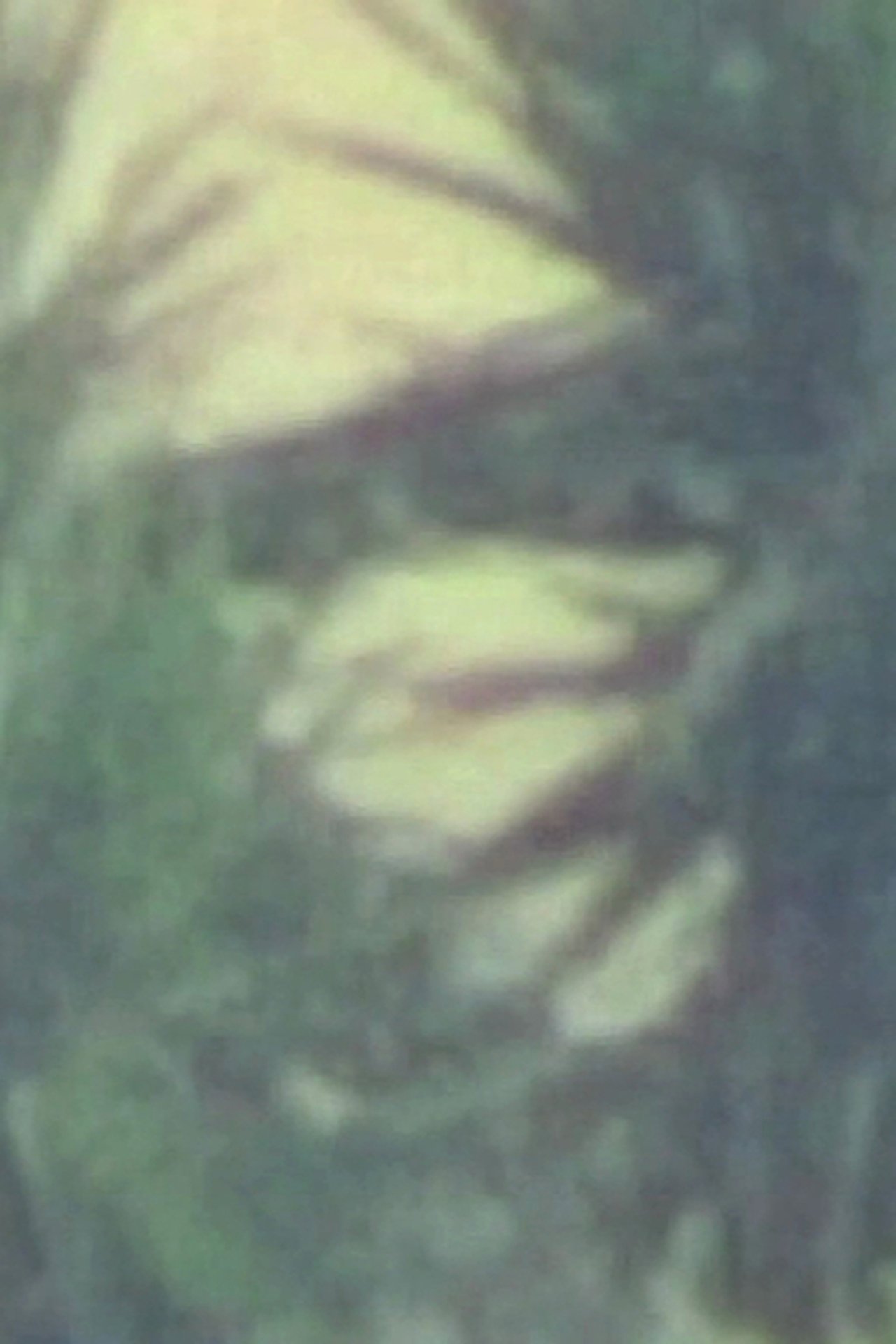 enlarged Poster 0