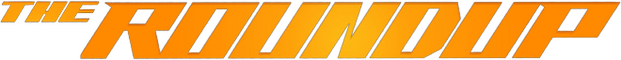 enlarged Logo 0