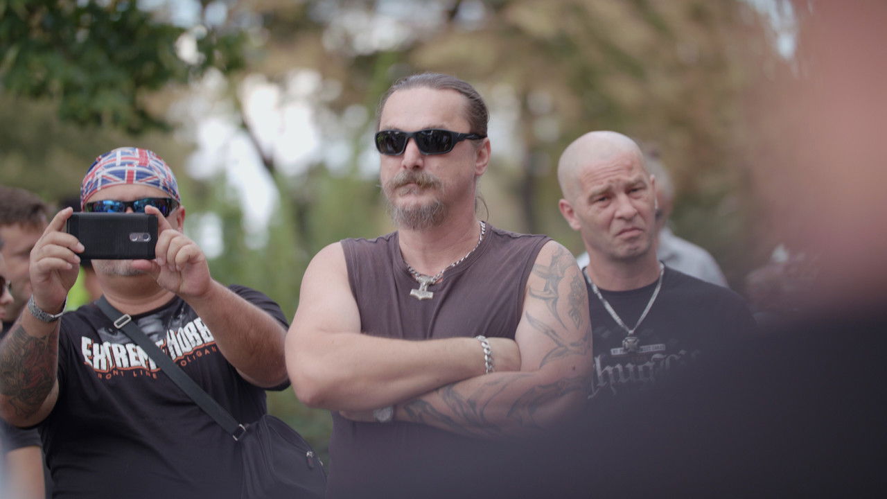 backdrop The Law of Love