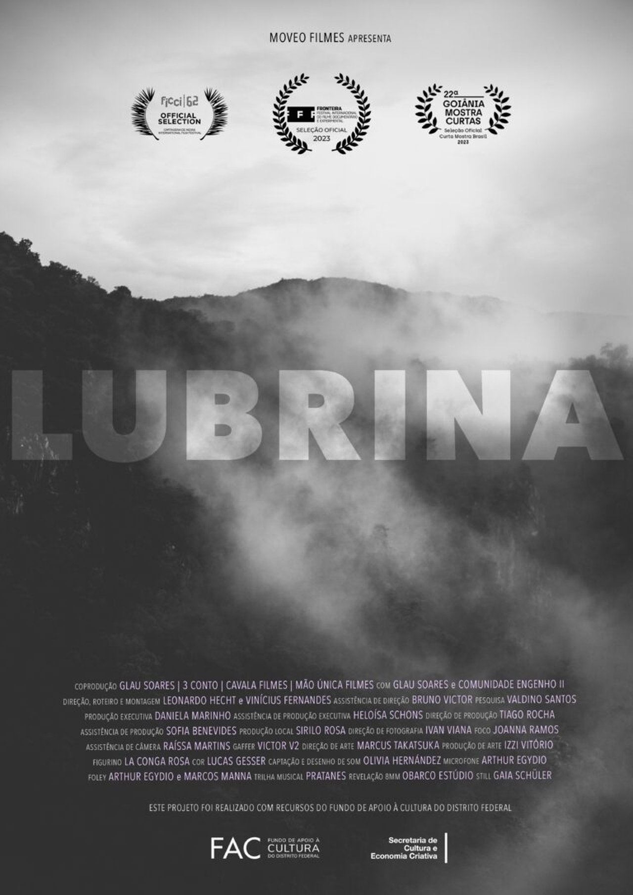enlarged Poster 0
