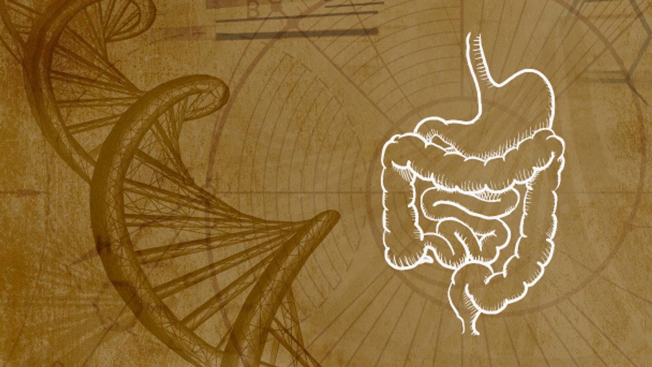 Immunity & the Microbiome