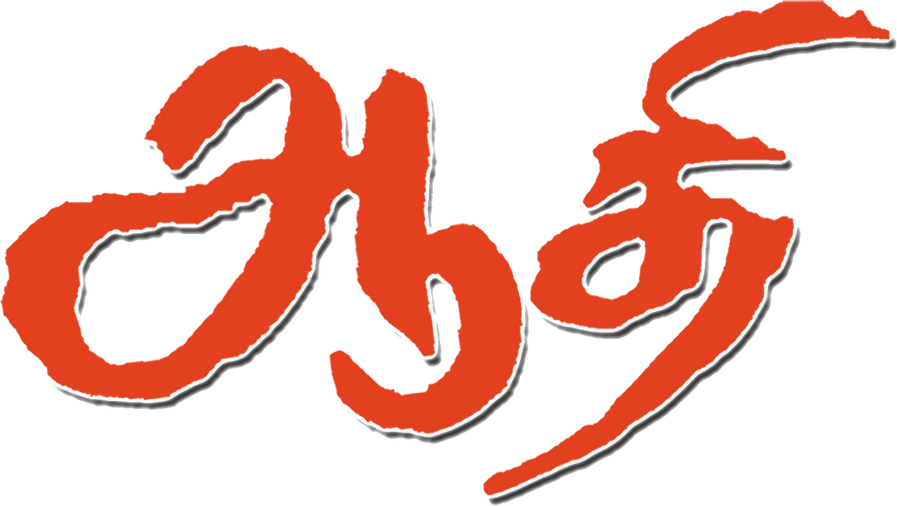 enlarged Logo 0