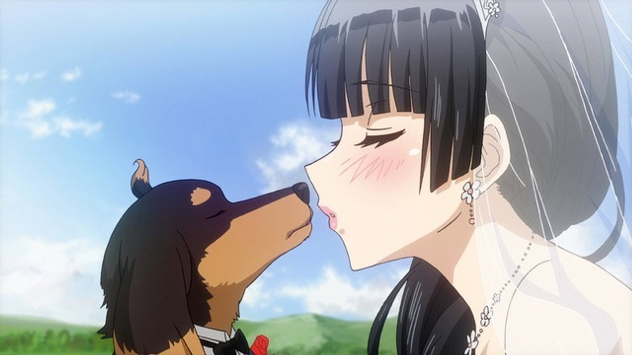 Dogs and Scissors Require Good Handling
