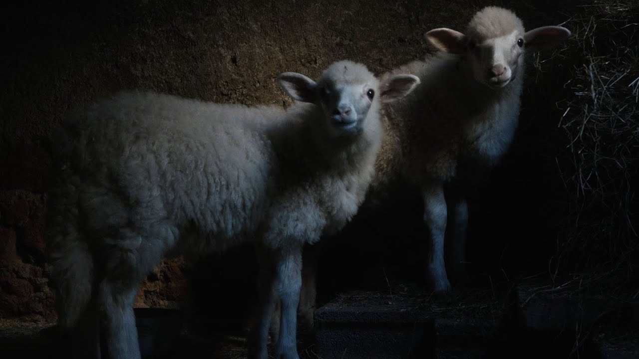 Agnus Dei
