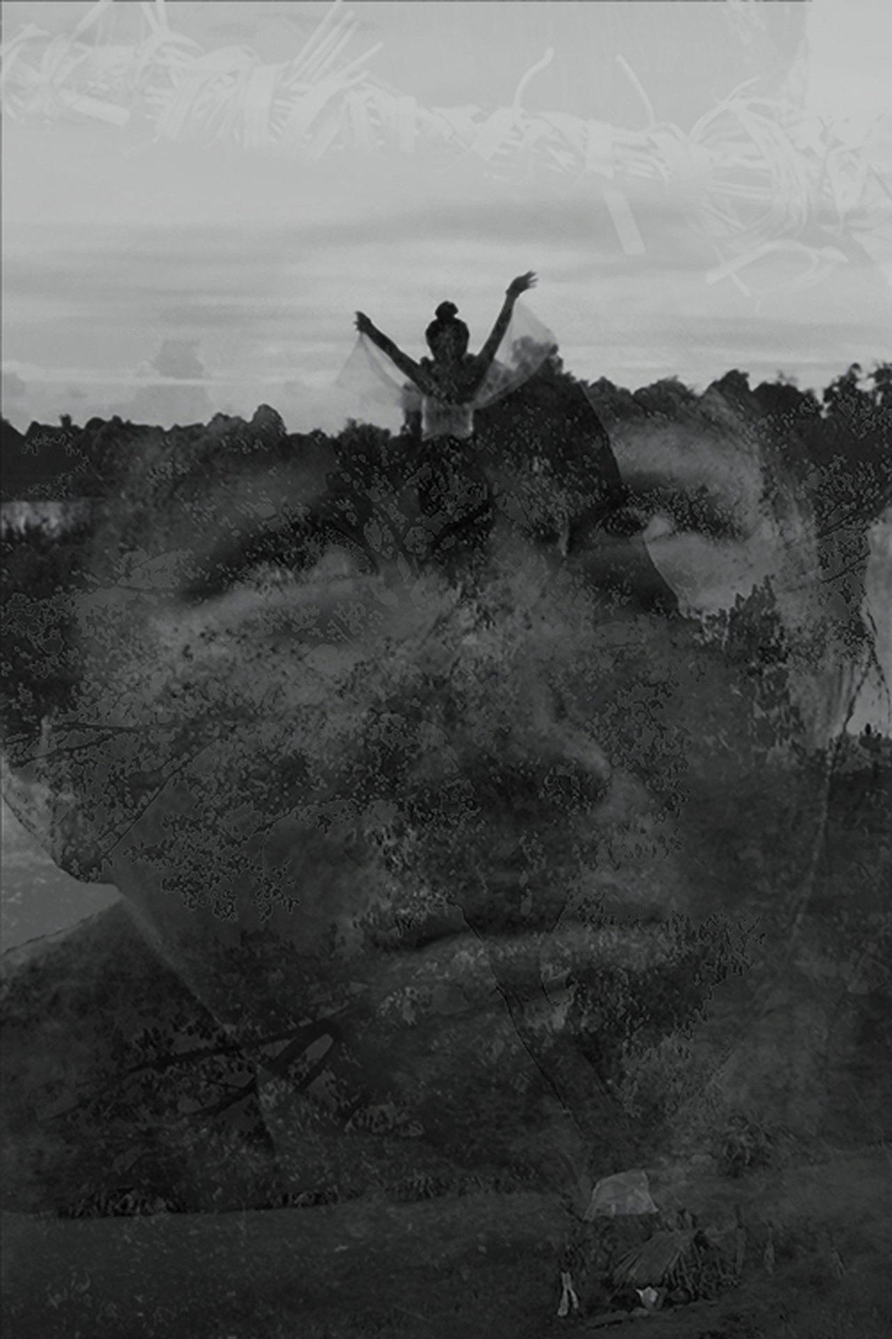 enlarged Poster 0