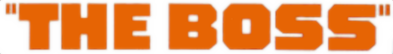enlarged Logo 0