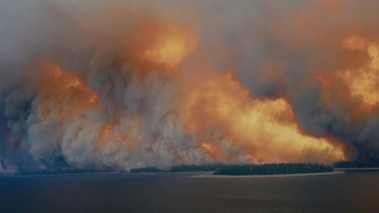 backdrop The Fire in Our Hearts