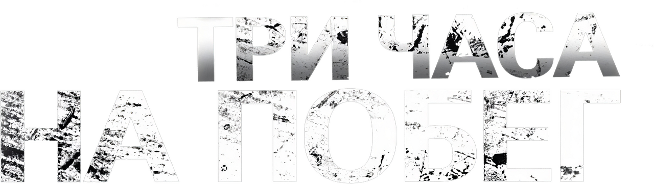enlarged Logo 0