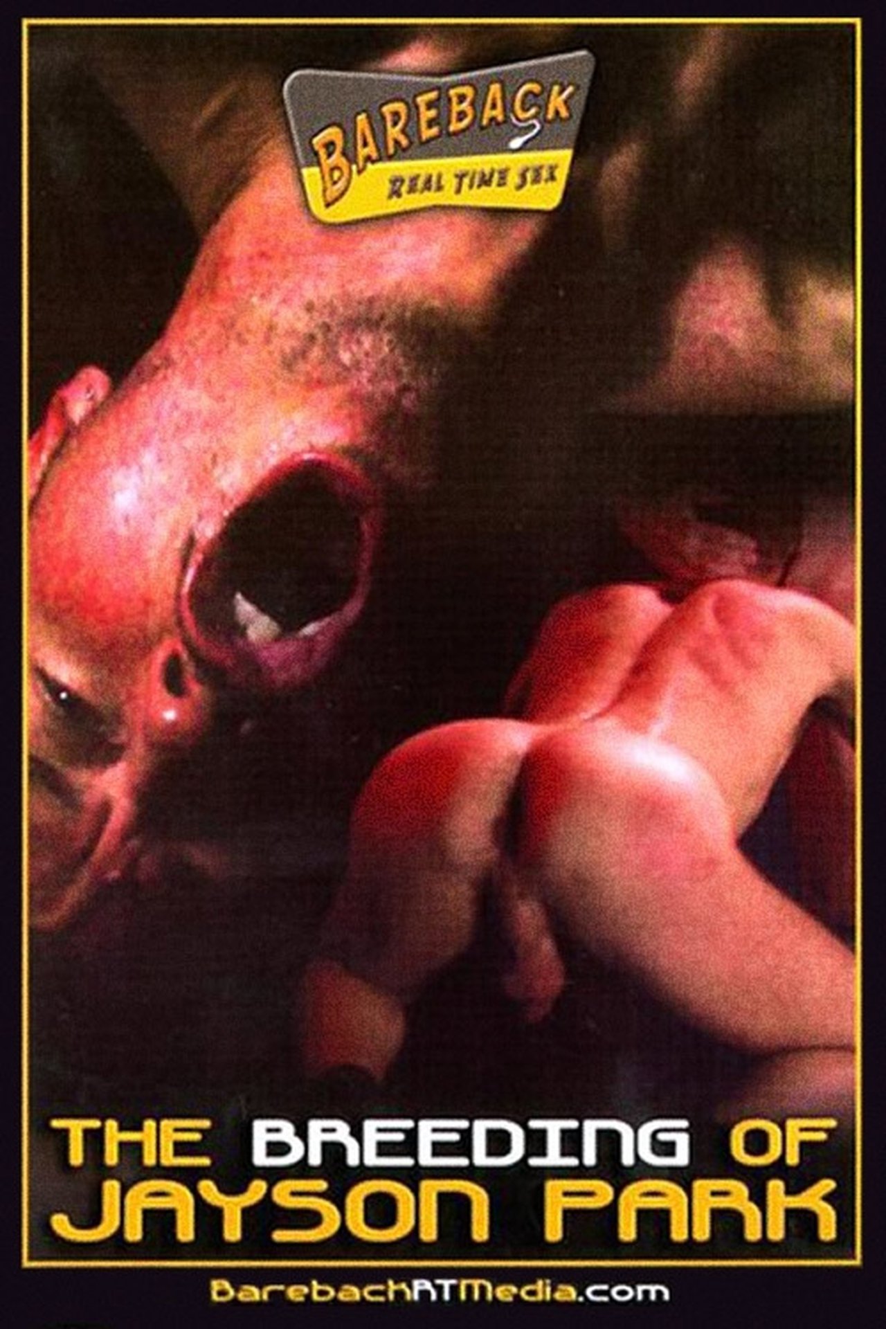 enlarged Poster 0