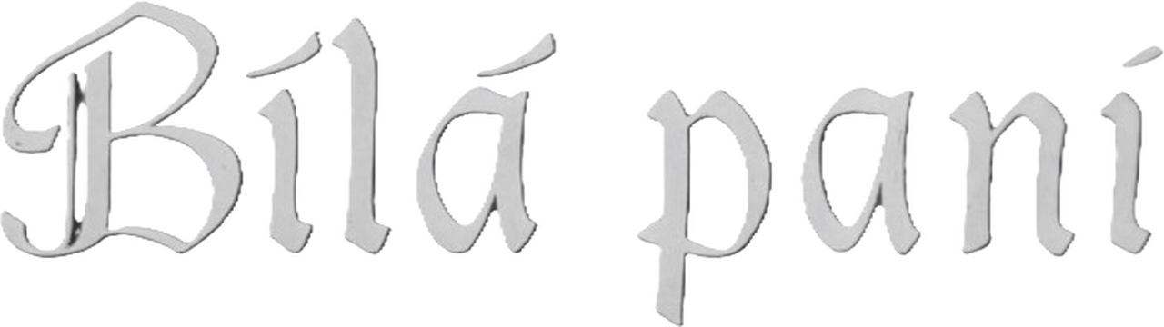 enlarged Logo 0