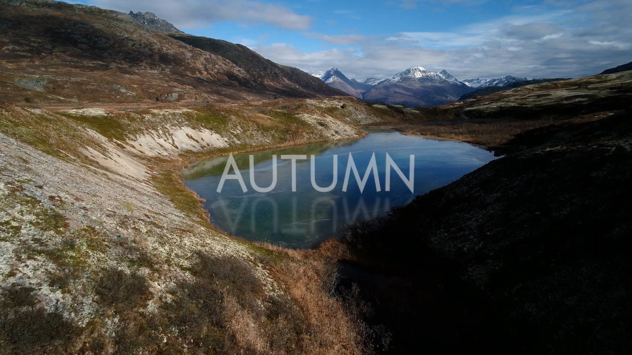 Autumn