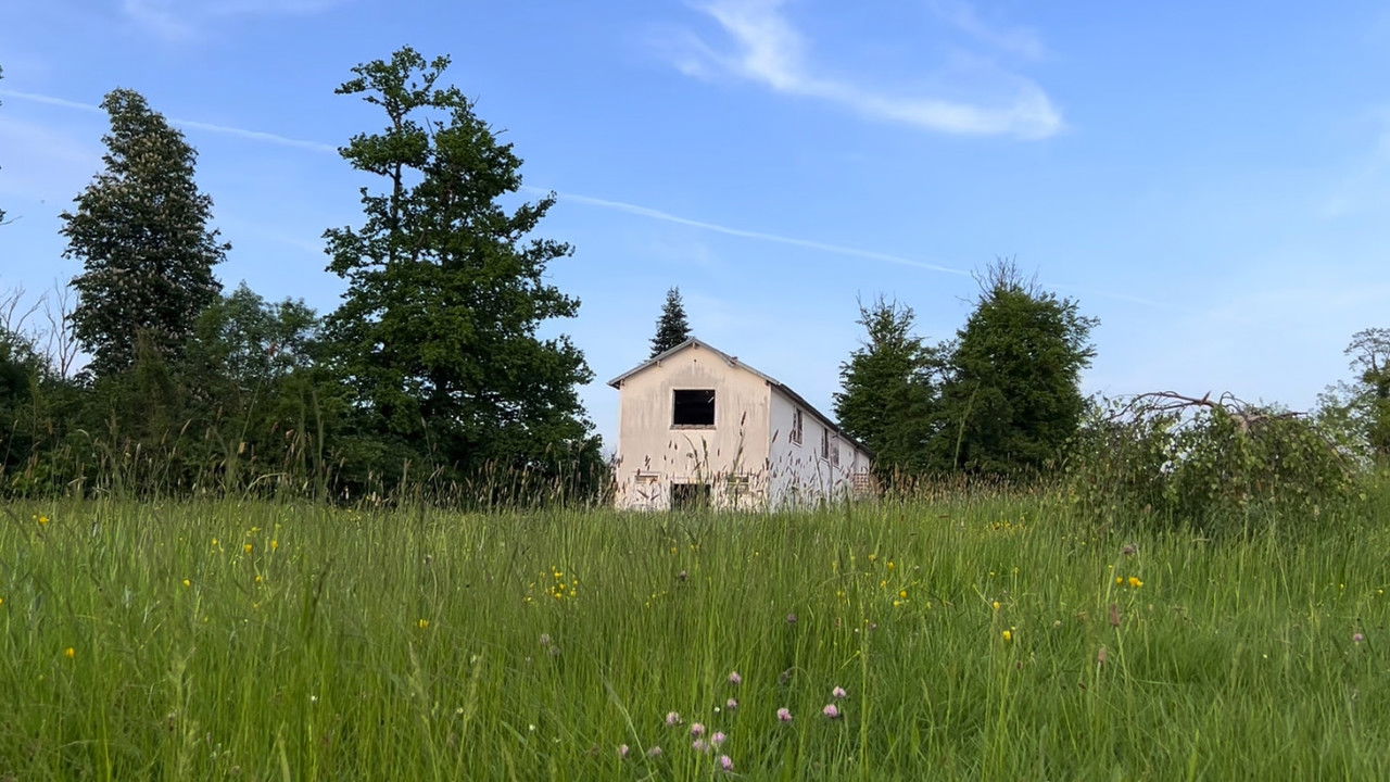 Mumble 3/4 - A la recherche de Morin